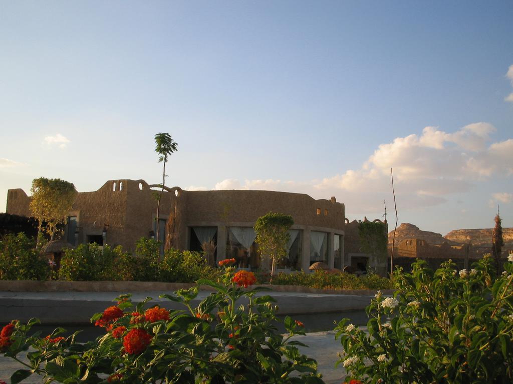 Siwa Shali Resort Siwa Oasis