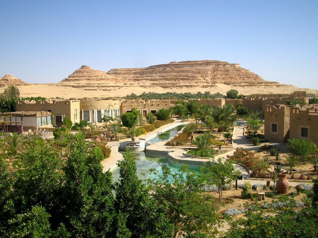 Siwa Shali 3*